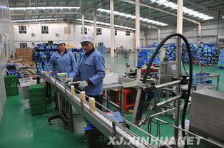 葉城立足地方資源優勢 推動農產品加工業帶動農民增收致富